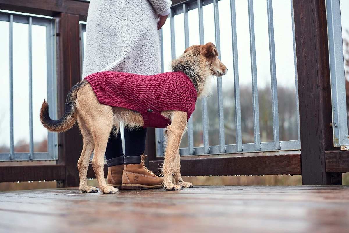 Hunter Malmø pullover strik bordeaux str. 45